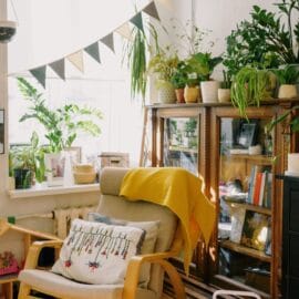 wooden armchair with cushion near window